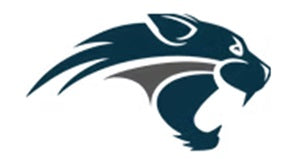 Wildcat Industries LLC